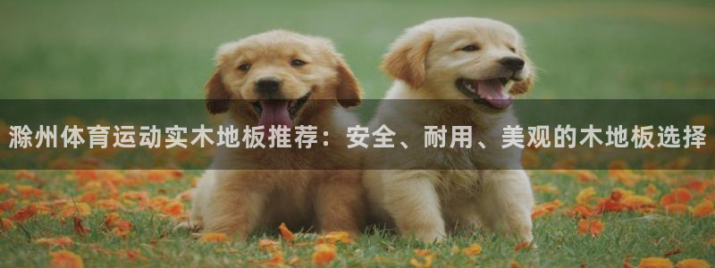 必一运动体育官网入口