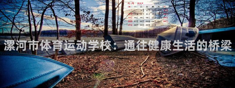 b体育必一运动官网