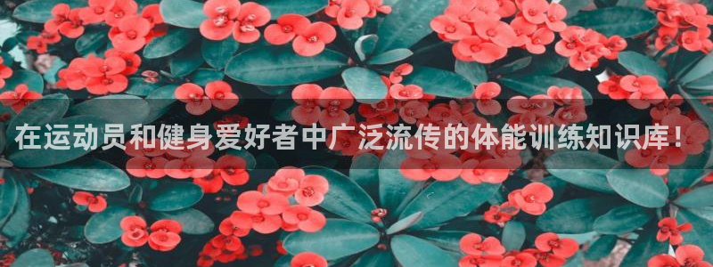必一运动体育官网