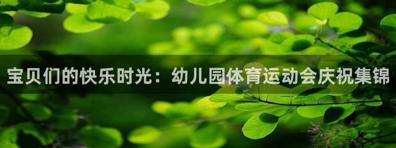 bsports官网 必一运动