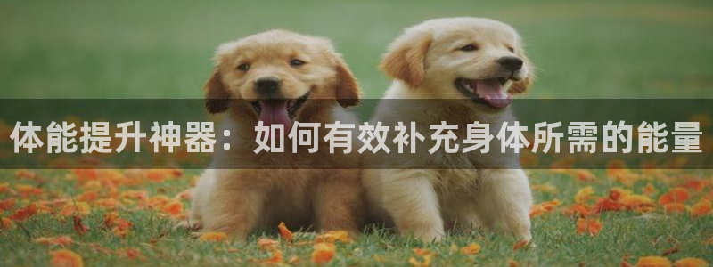 必一运动