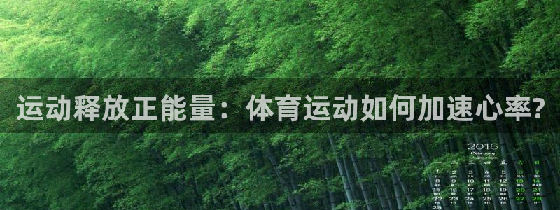 必一运动体育官网入口