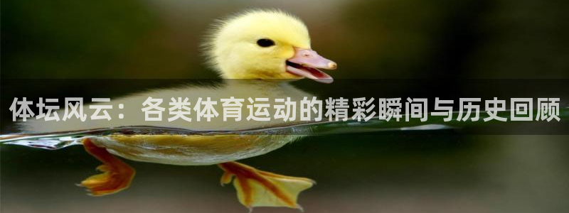 必一运动体育官网