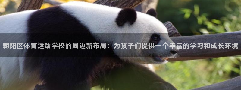 bsports必一运动