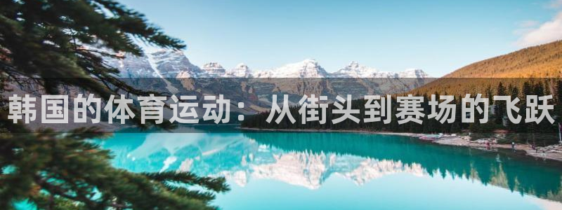 bsports官网 必一运动