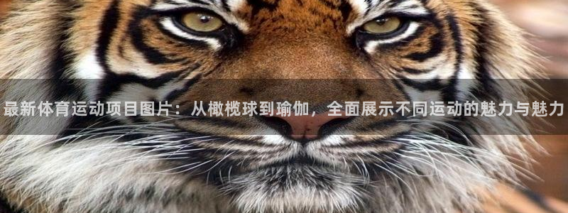 bsports必一运动