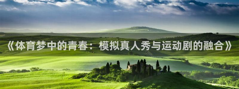 b体育必一运动官网