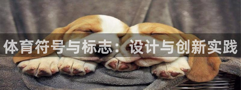 必一运动bsport体育