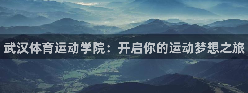 bsport必一运动